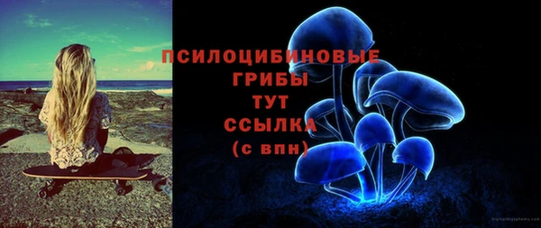 амф Медногорск