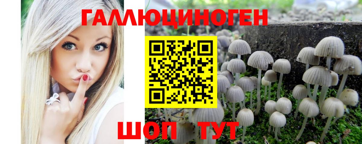 Галлюциногенные грибы Cubensis Сосновоборск
