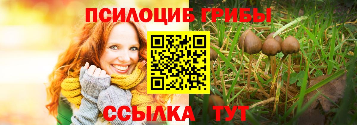 купить   Сосновоборск  Псилоцибиновые грибы MAGIC MUSHROOMS 